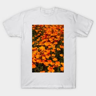 Endless Golden Poppies T-Shirt